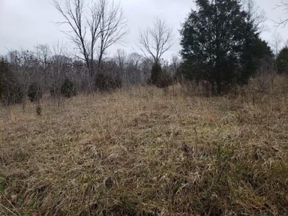 9835 South Snow Road Bloomington, IN 47403 - Photo 6 of 7