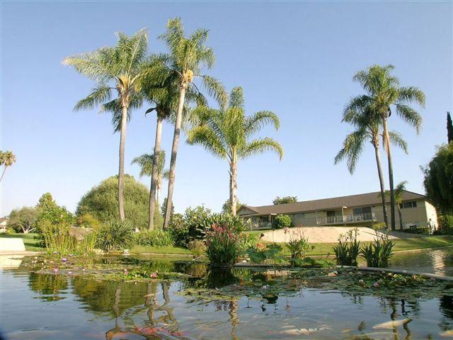 5940 Encina Road, Unit 5 Goleta, CA 93117 - Photo 8 of 18 Koi Pond