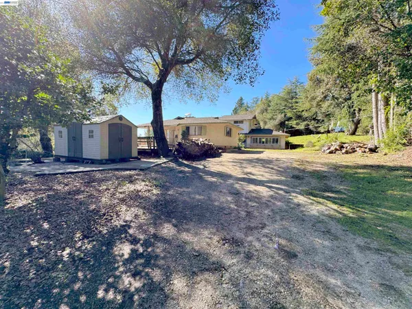 a view of a house with a yard and large trees