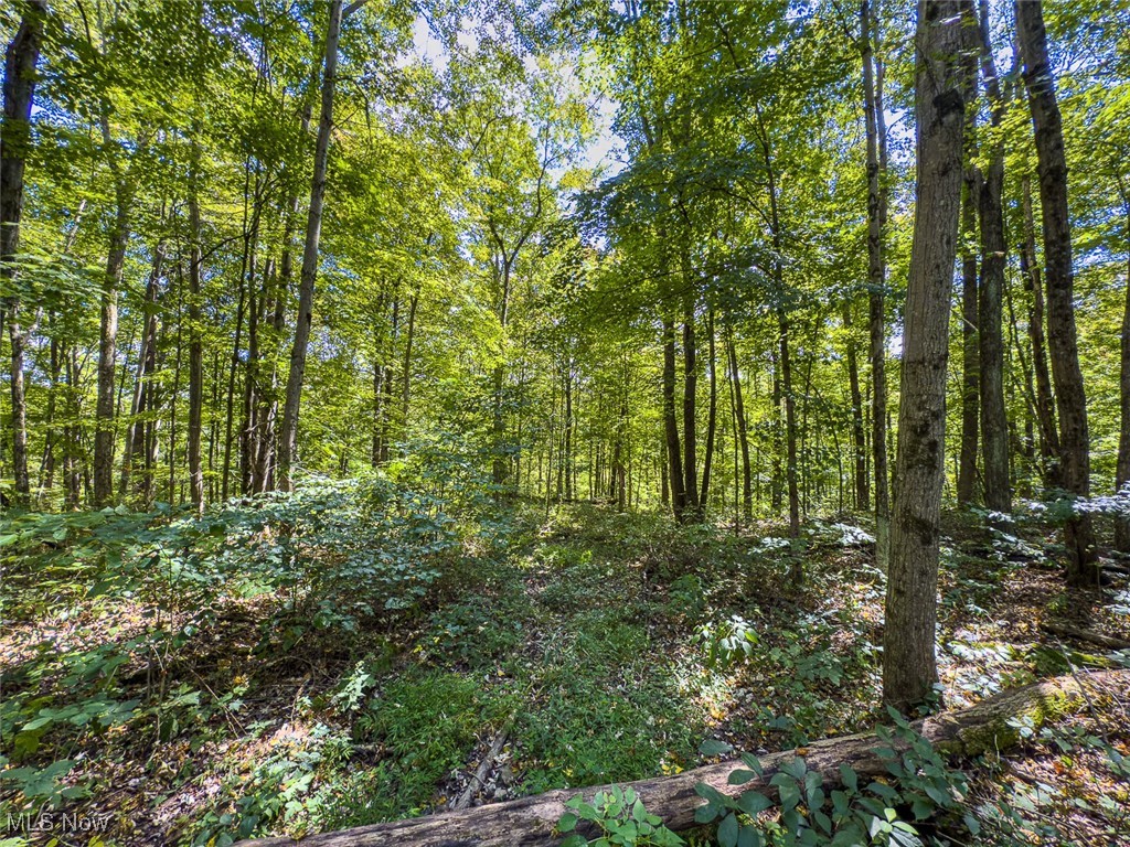 0 Rado Ridge Road Caldwell, OH 43724 - Photo 30 of 39 Gallery Image 30