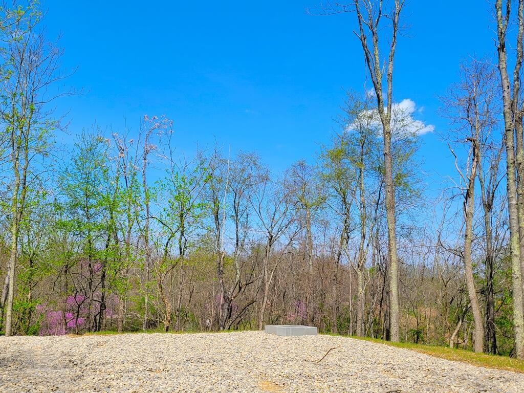 8670 Hoop Pole Road Roseville, OH 43777 - Photo 9 of 65 20220424_122610