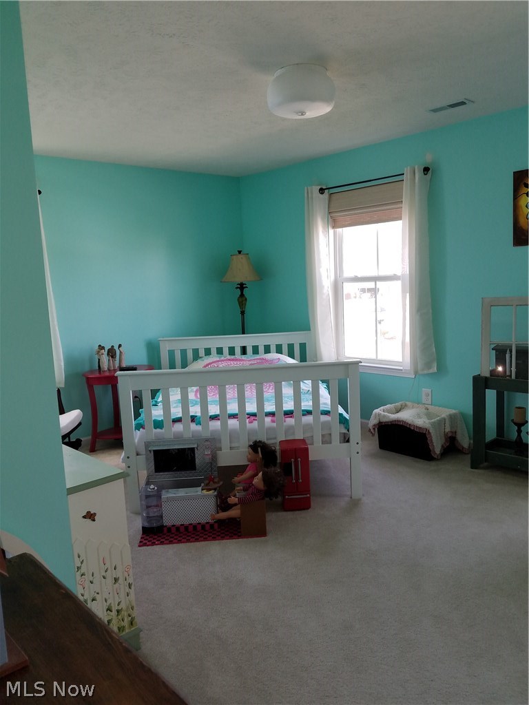 8789 Harvest Ridge Way North Ridgeville, OH 44039 - Photo 15 of 34 Large bedroom