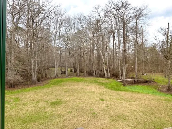 a view of a park with large trees