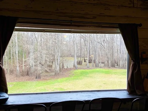 a view of swimming pool from a window