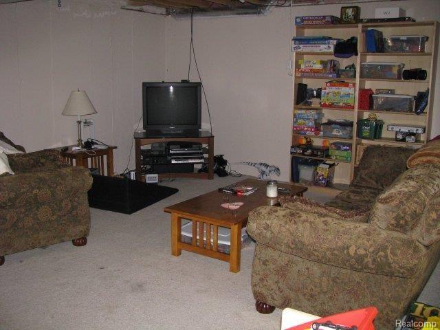 69736 Henry Ross Drive Romeo, MI 48065 - Photo 23 of 25 Henry Ross #23 Basement