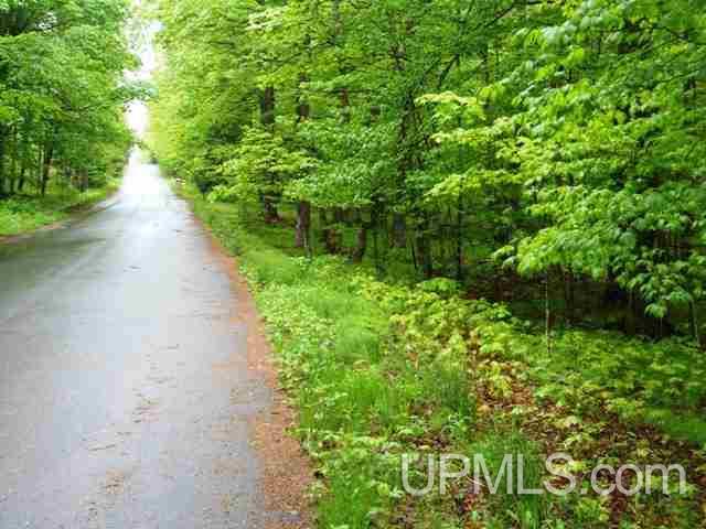 Tbd Kohon Road, Unit PARCEL B SOUTH Crystal Falls, MI 49920 - Photo 10 of 30 Gallery Image 10