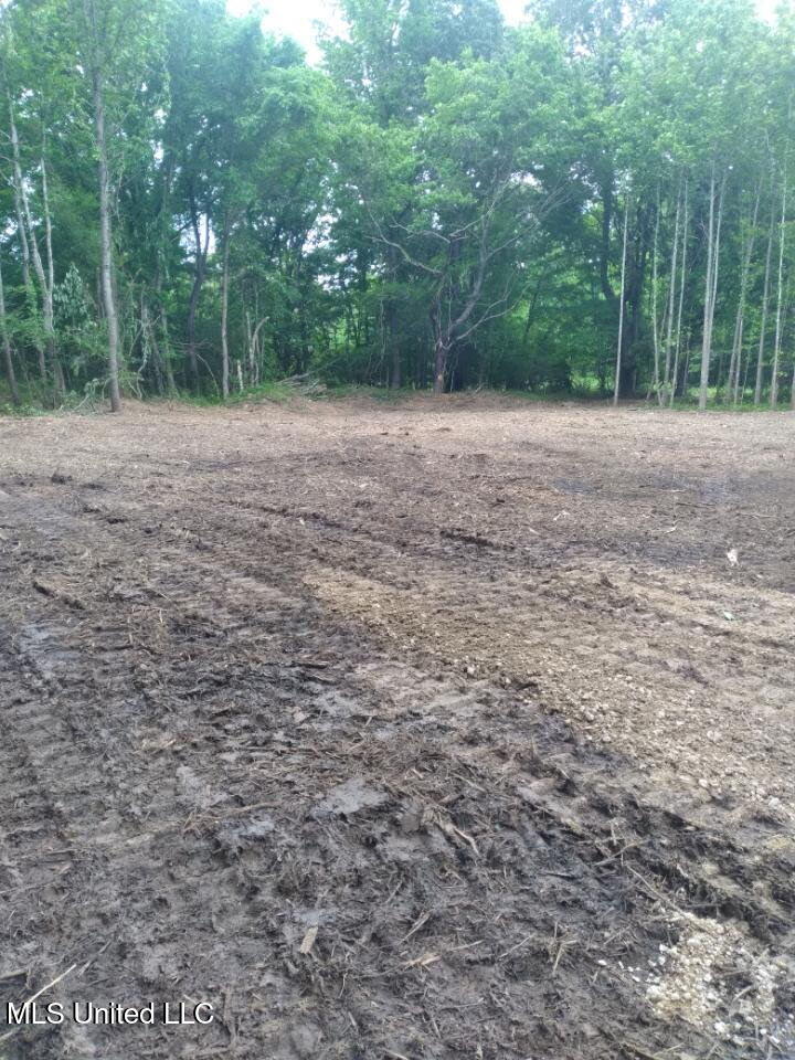 33 Shamrock Loop Byhalia, MS 38611 - Photo 2 of 8 2_Shamrock