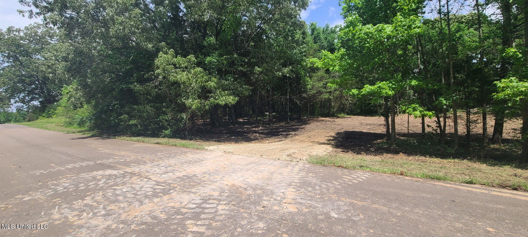 33 Shamrock Loop Byhalia, MS 38611 - Photo 3 of 8 3_Shamrock