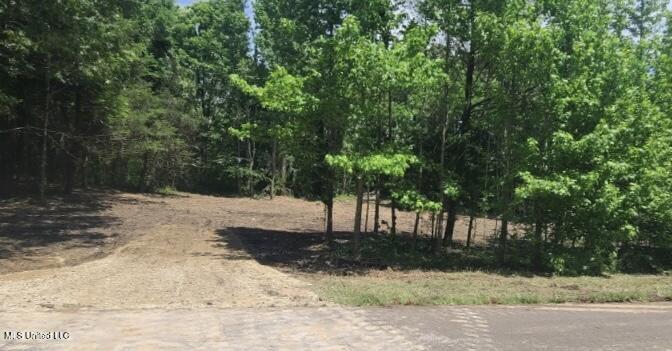 33 Shamrock Loop Byhalia, MS 38611 - Photo 4 of 8 4_Shamrock