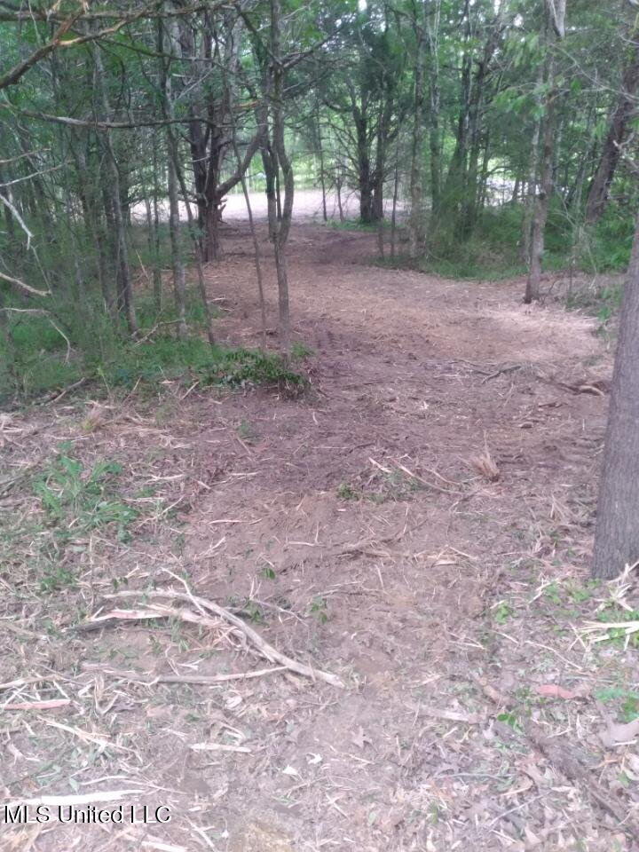 33 Shamrock Loop Byhalia, MS 38611 - Photo 5 of 8 5_Shamrock