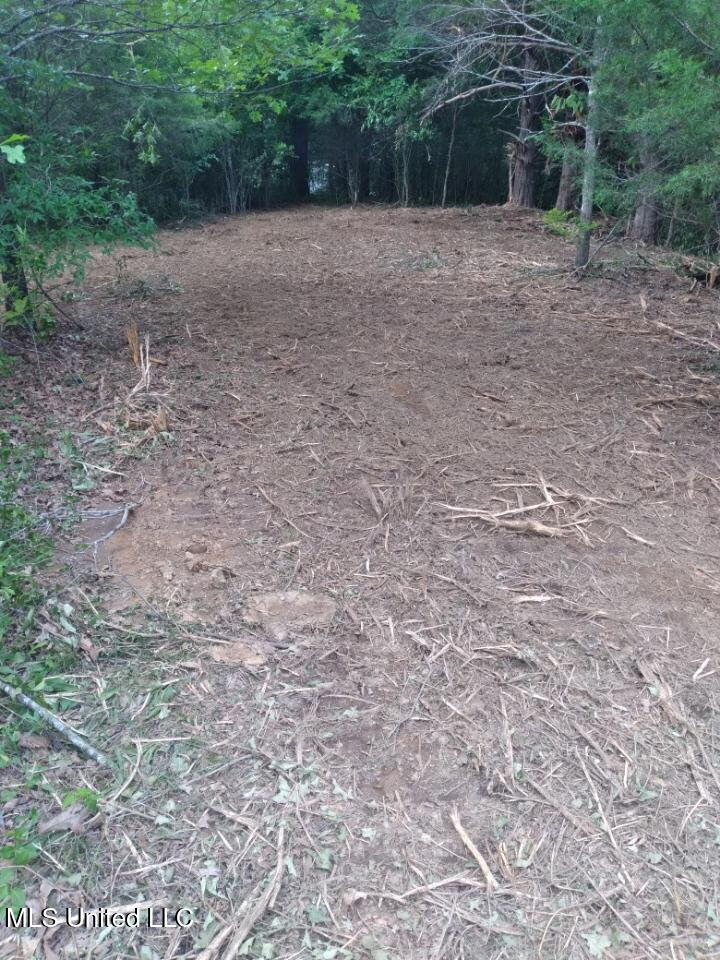 33 Shamrock Loop Byhalia, MS 38611 - Photo 6 of 8 6_Shamrock