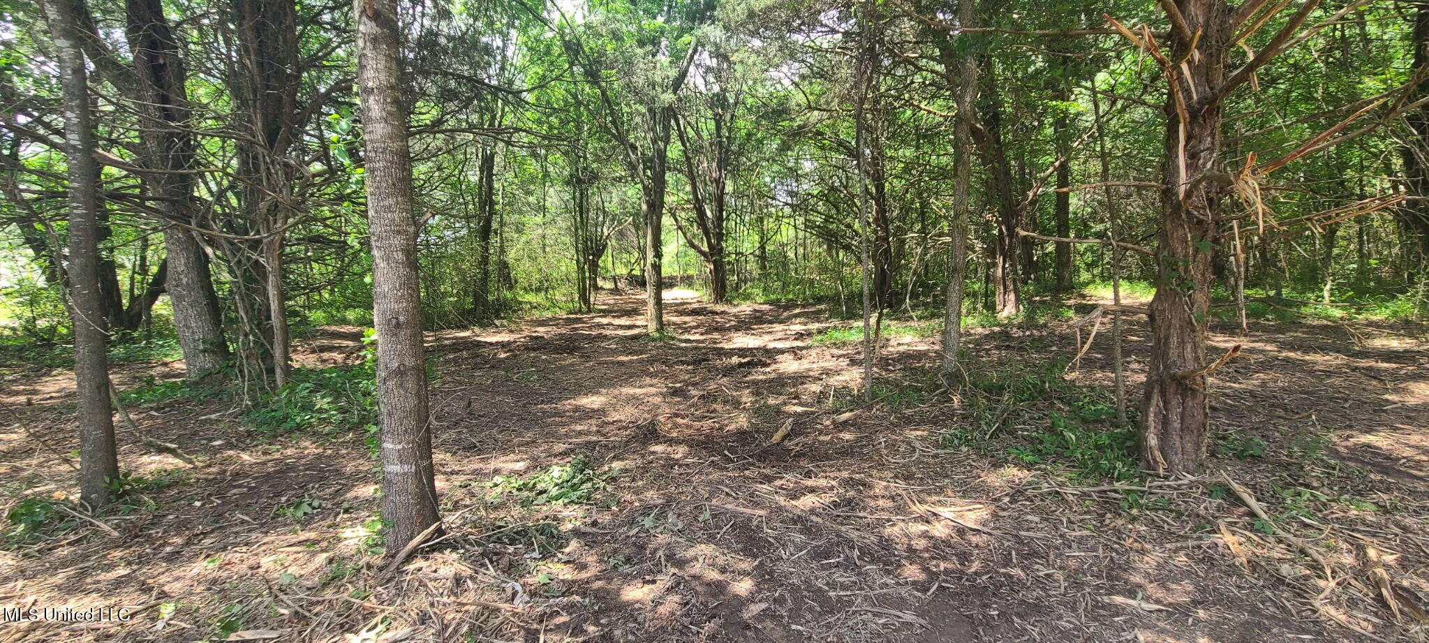 33 Shamrock Loop Byhalia, MS 38611 - Photo 7 of 8 7_Shamrock