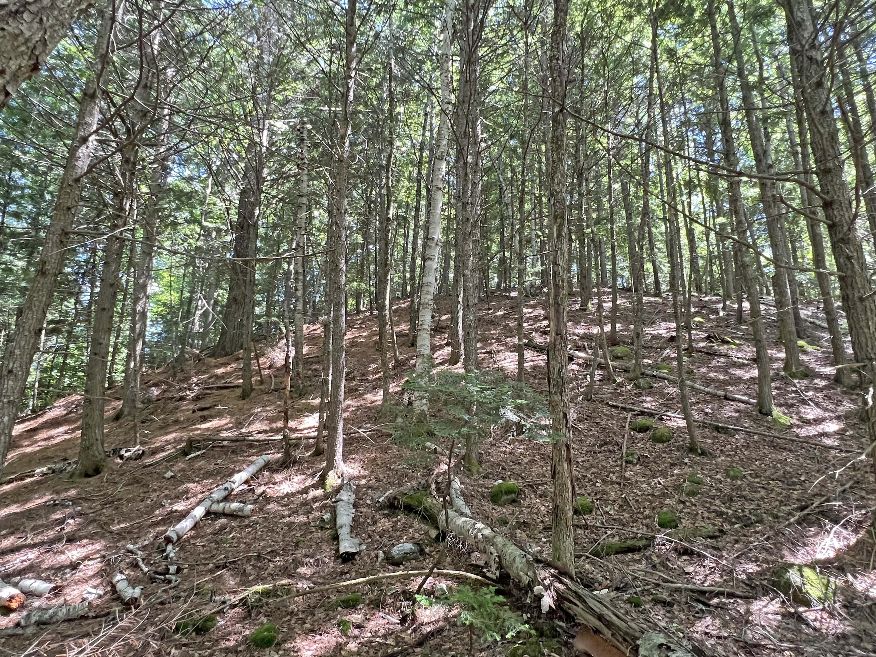 980 Otis Road Ellsworth, ME 04605 - Photo 29 of 30 4g