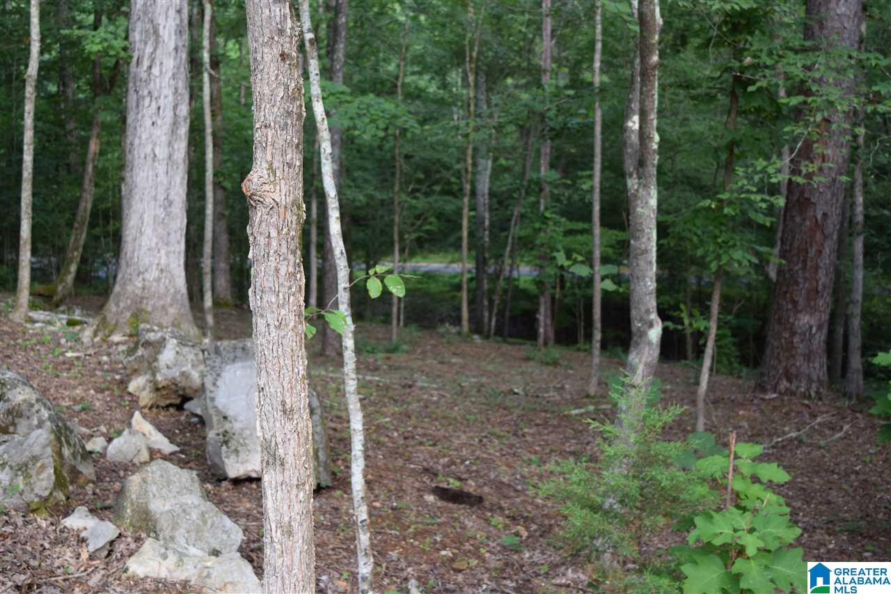 Lot 10 South Hollow Road, Unit 10 Hayden, AL 35079 - Photo 1 of 17