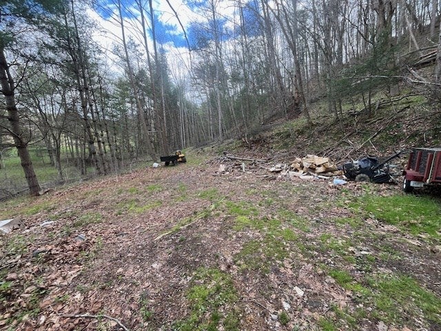 15.01-ac Pine Run Road, Unit 115110A Draper, VA 24324 - Photo 21 of 57 Gallery Image 21