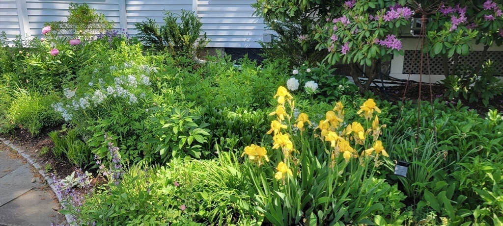159 Warren Street Needham, MA 02492 - Photo 31 of 42 a backyard of a house with lots of green space