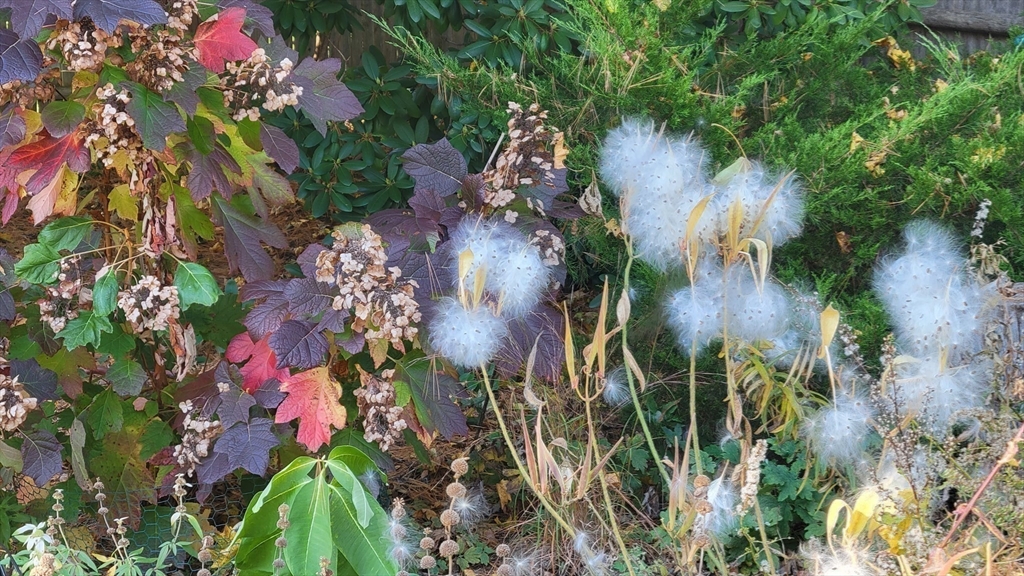 159 Warren Street Needham, MA 02492 - Photo 33 of 42 a view of a flower