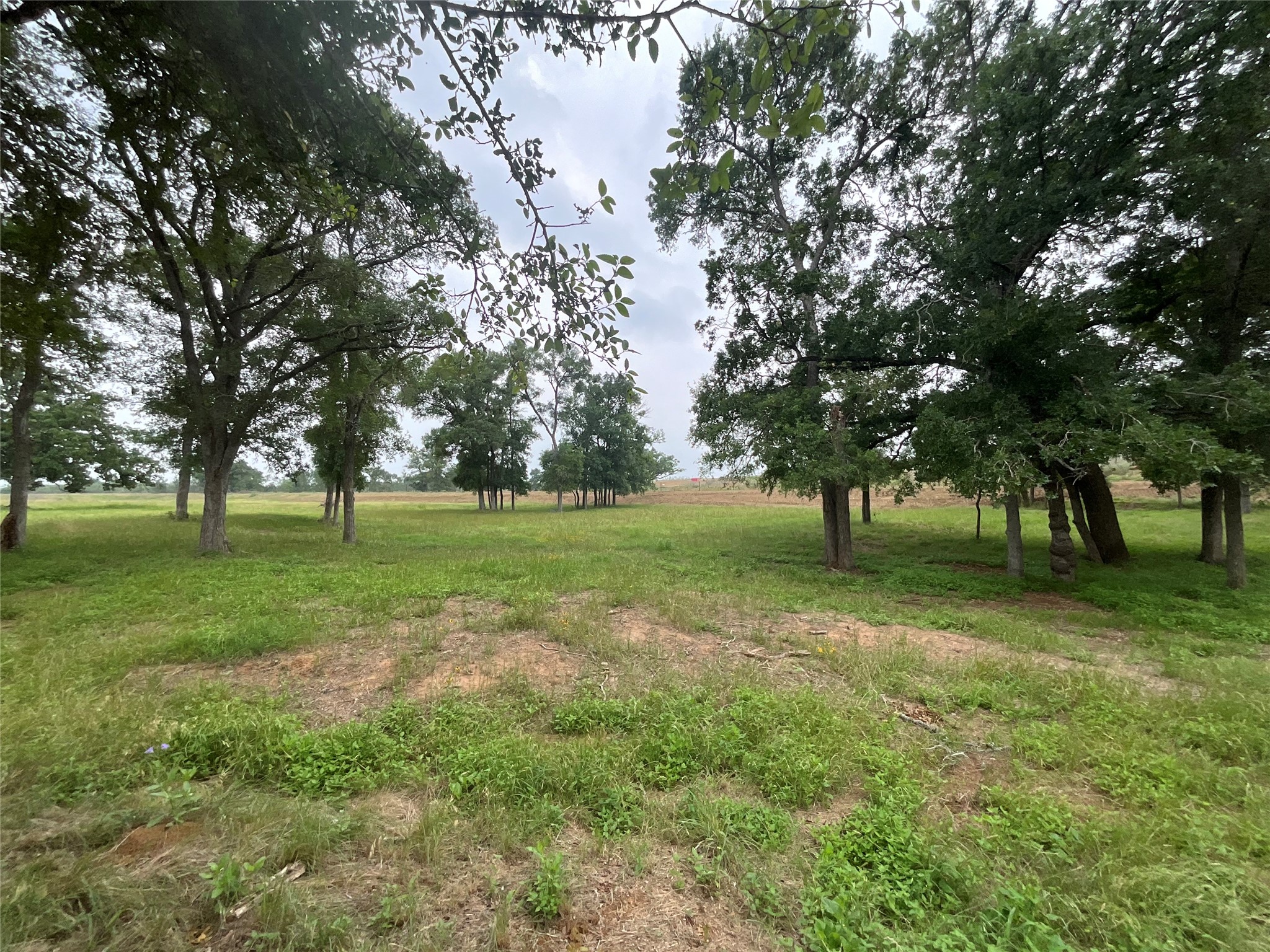 1132 Ferguson Loop Dale Dale, TX 78616 - Photo 1 of 1