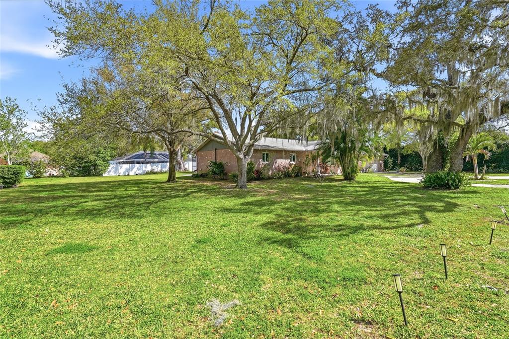 2817 Fleeman Road Palm Harbor, FL 34683 - Photo 2 of 61