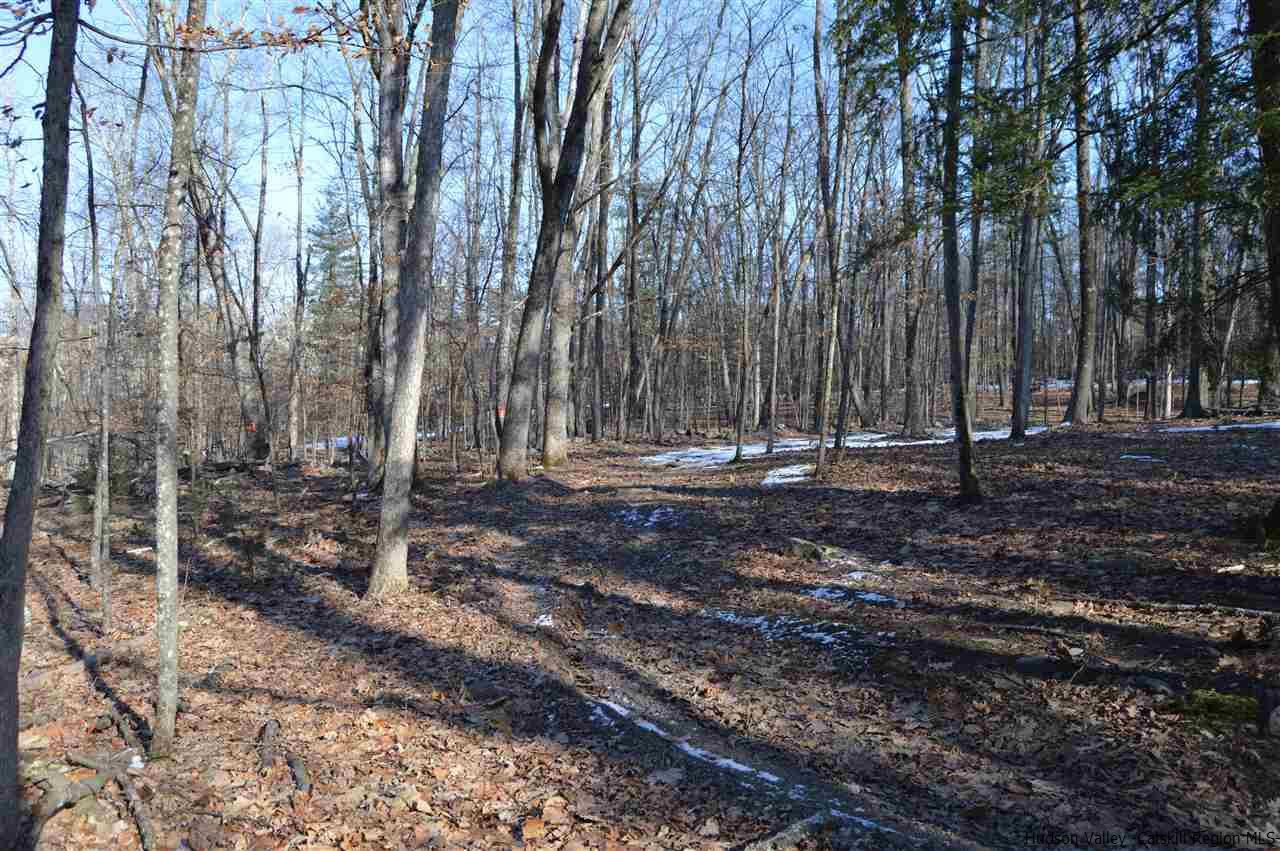 134-138 Vly Atwood Road Stone Ridge, NY 12484 - Photo 14 of 19 Photo 14