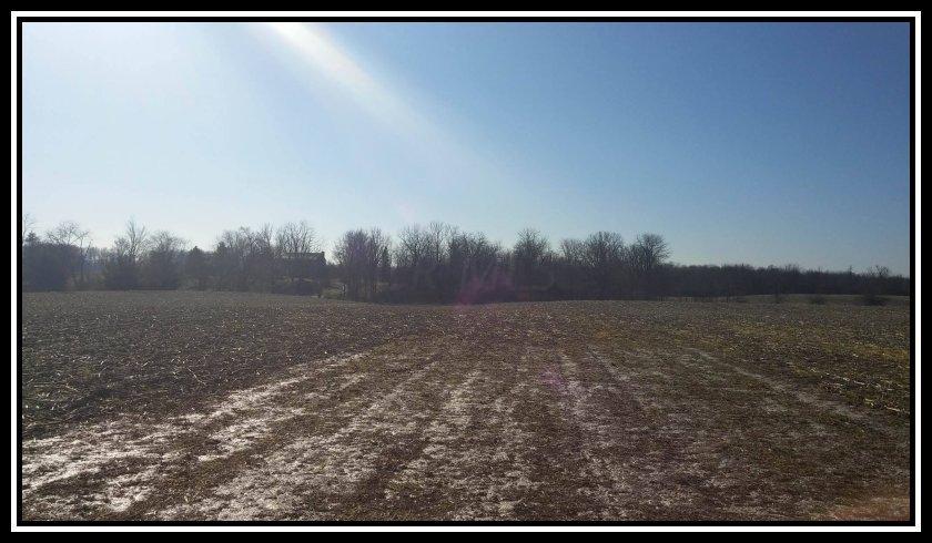2800 Waldo-Fulton Road Waldo, OH 43356 - Photo 2 of 5