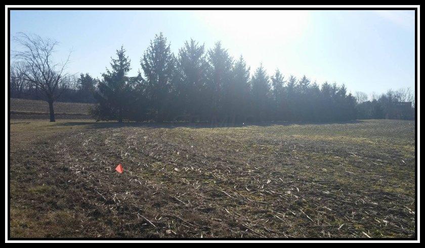 2800 Waldo-Fulton Road Waldo, OH 43356 - Photo 3 of 5