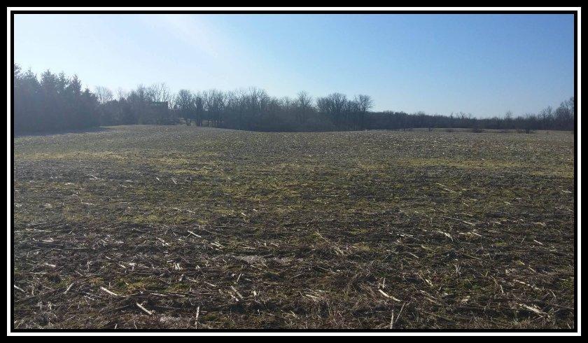 2800 Waldo-Fulton Road Waldo, OH 43356 - Photo 5 of 5
