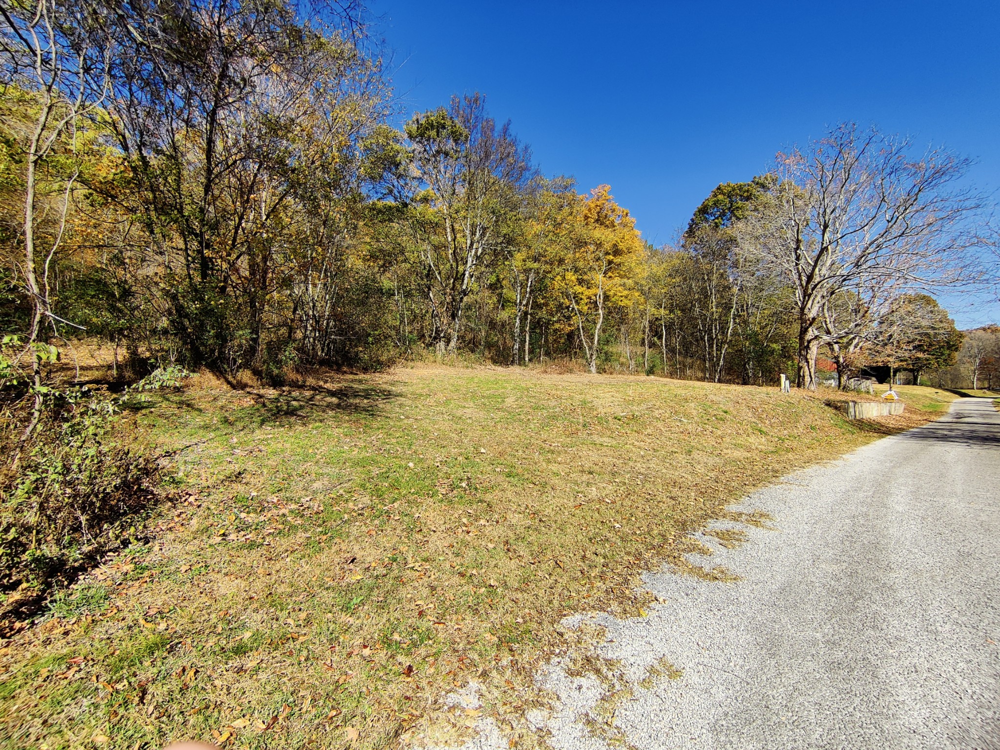 150 Ben Johnson Road Pulaski, TN 38478 - Photo 3 of 4 a view of road with large trees
