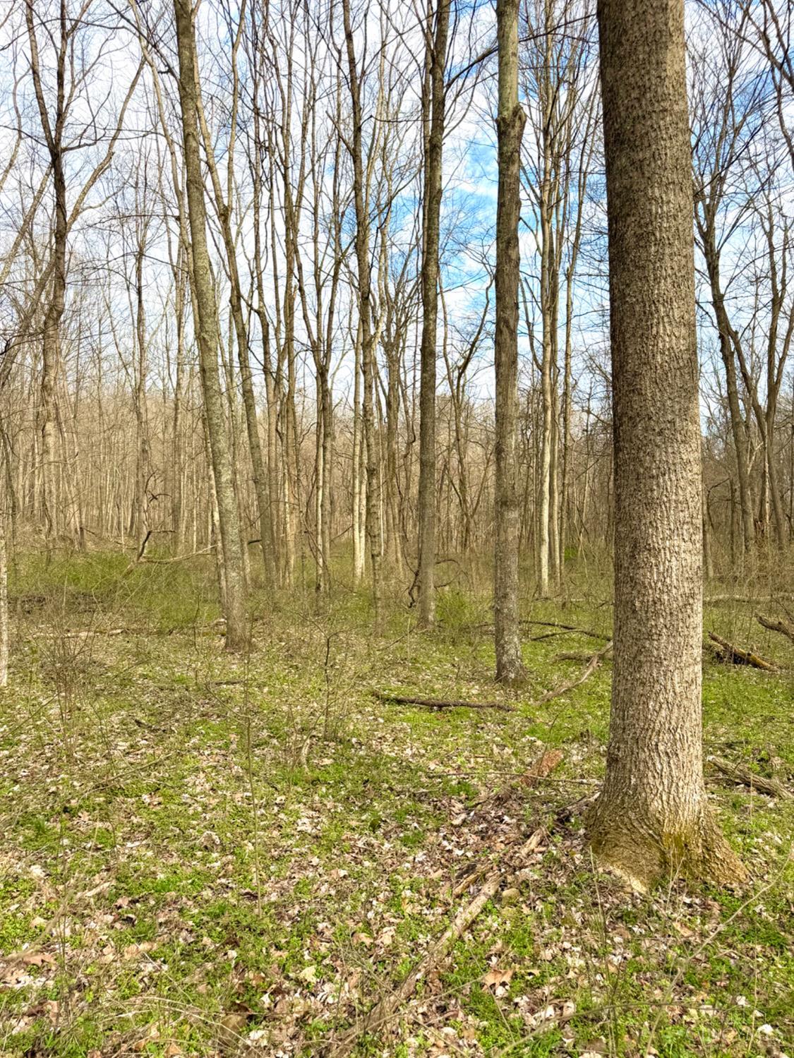 0 Fyffe Hollow Road Chillicothe, OH 45601 - Photo 15 of 96