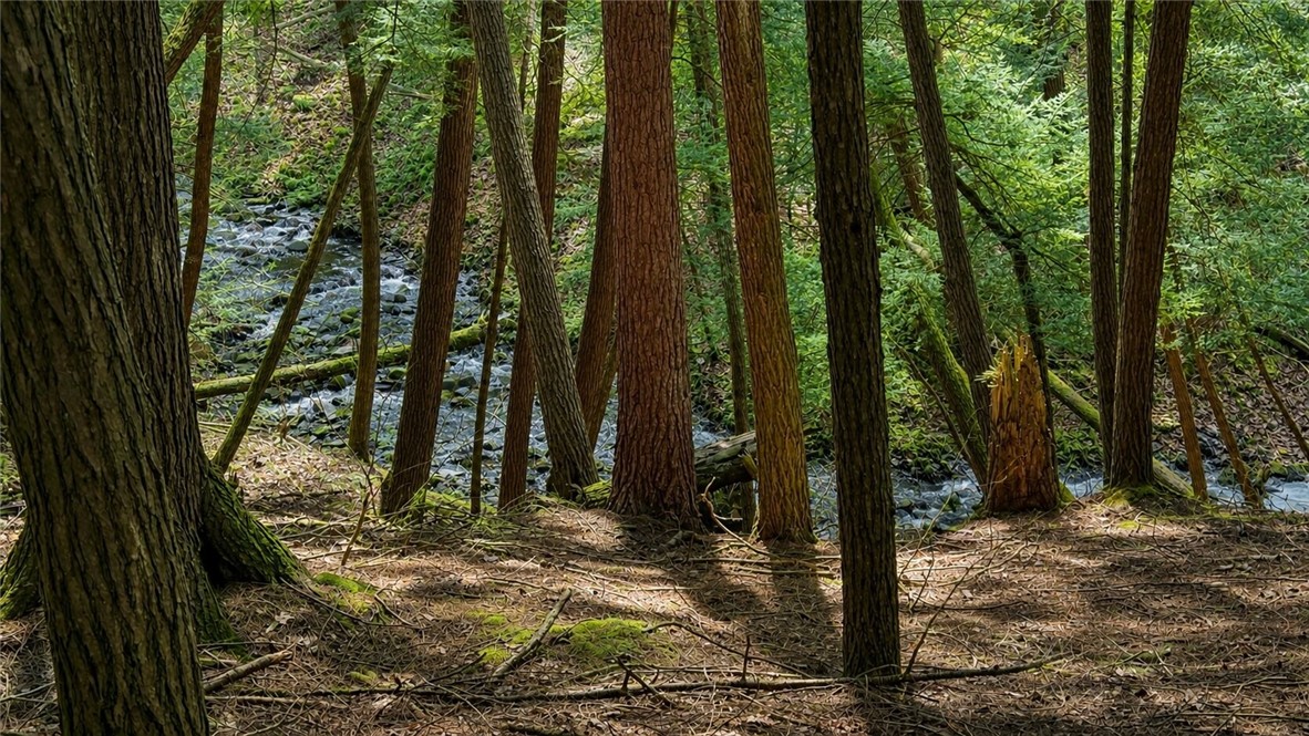 212 Meeker Road Vestal, NY 13850 - Photo 28 of 35 Creek
