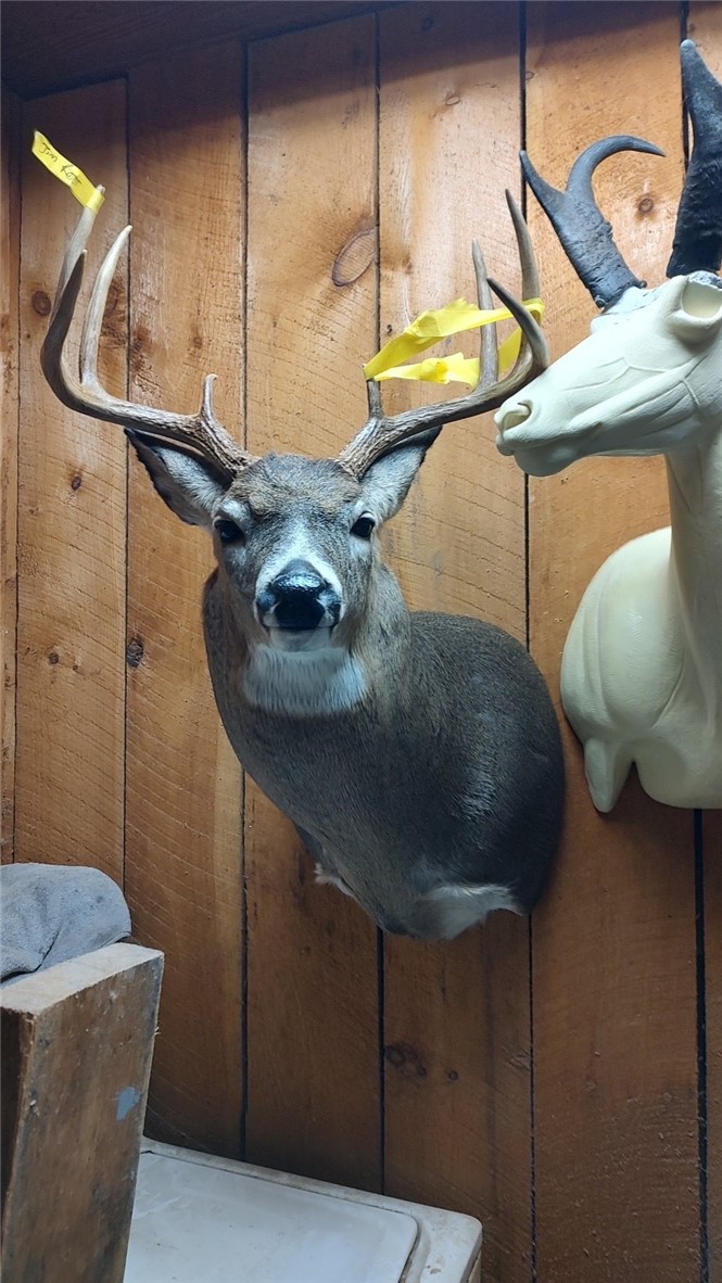 212 Meeker Road Vestal, NY 13850 - Photo 33 of 35 Trophy