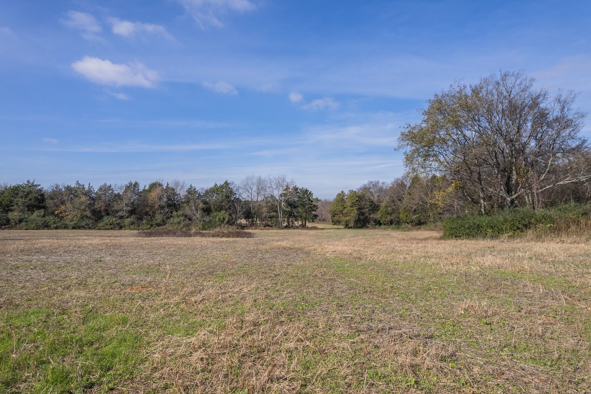 5876 New Salem Road Rockvale, TN 37153 - Photo 9 of 15