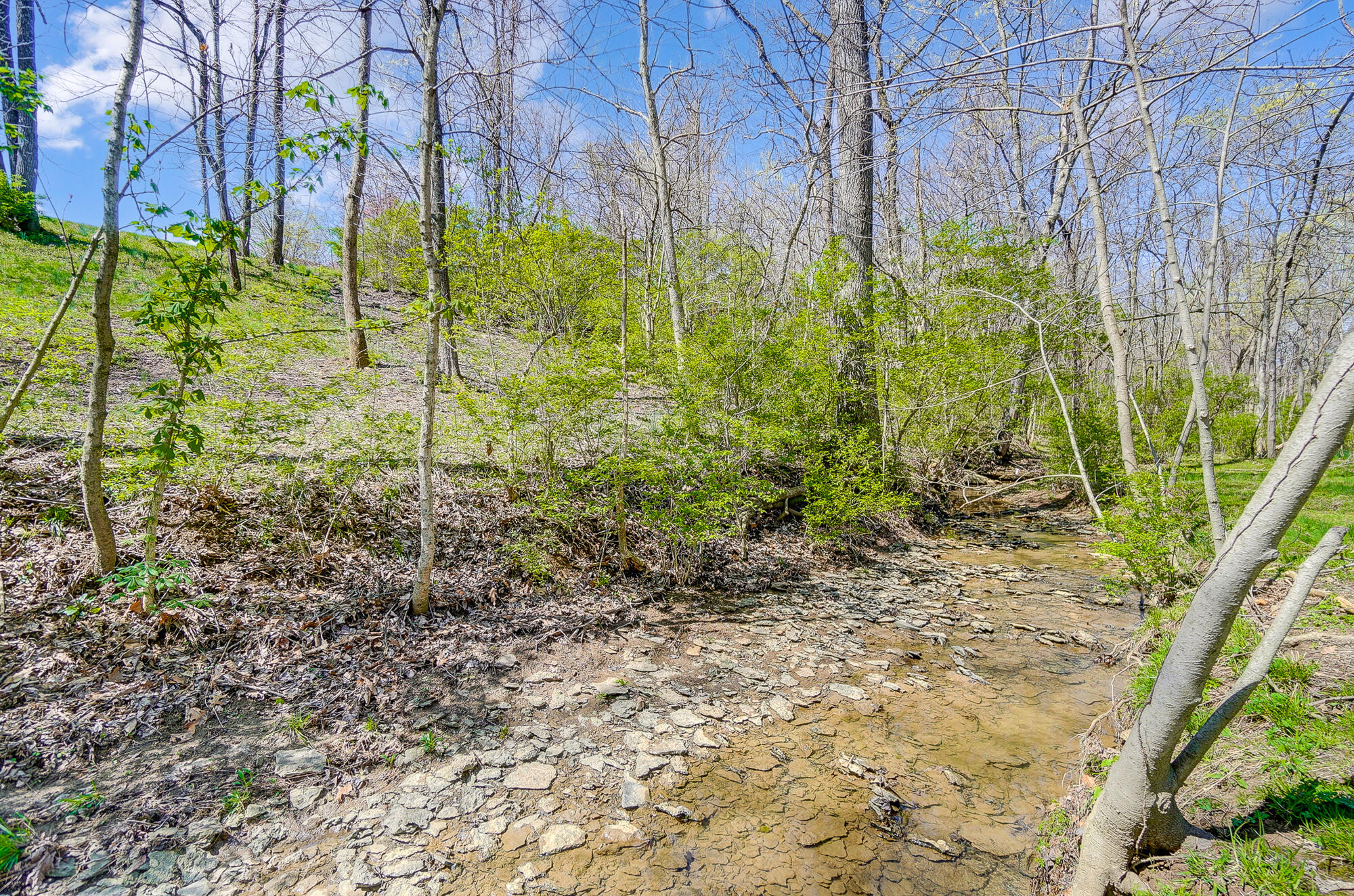 362 Maher Road Walton, KY 41094 - Photo 49 of 50 Gallery Image 49