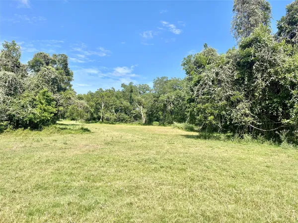 a view of a yard with an outdoor space
