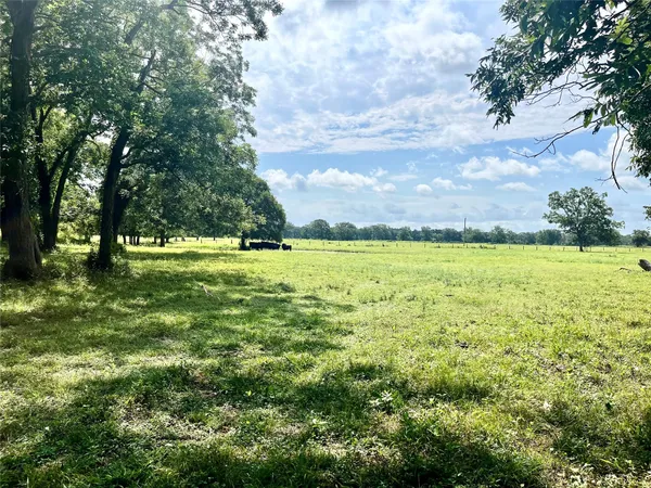 a yard with trees in the background