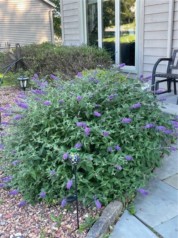 31 Misty Pine Road Perinton, NY 14450 - Photo 33 of 33