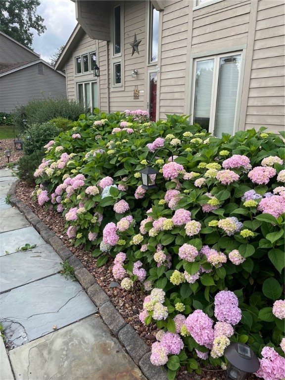 31 Misty Pine Road Perinton, NY 14450 - Photo 4 of 33