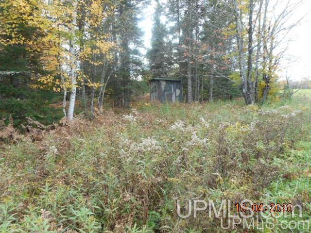 28662 South Wasas Road Mass City, MI 49948 - Photo 4 of 13