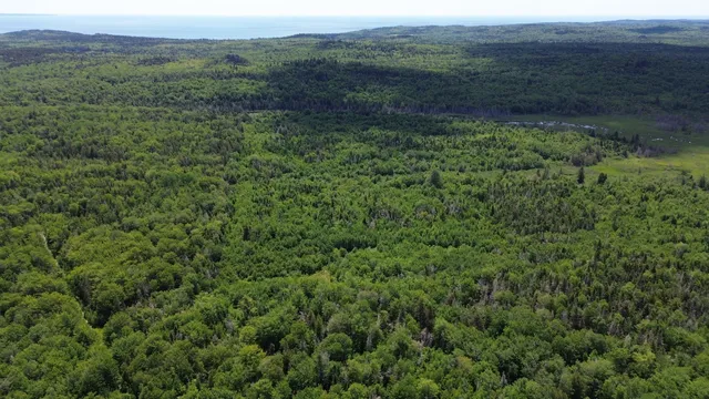 $83,000 | 02 St Trescott Twp Me 04652, Lubec, ME 04652