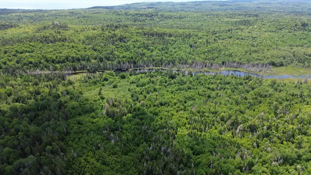 $83,000 | 02 St Trescott Twp Me 04652, Lubec, ME 04652