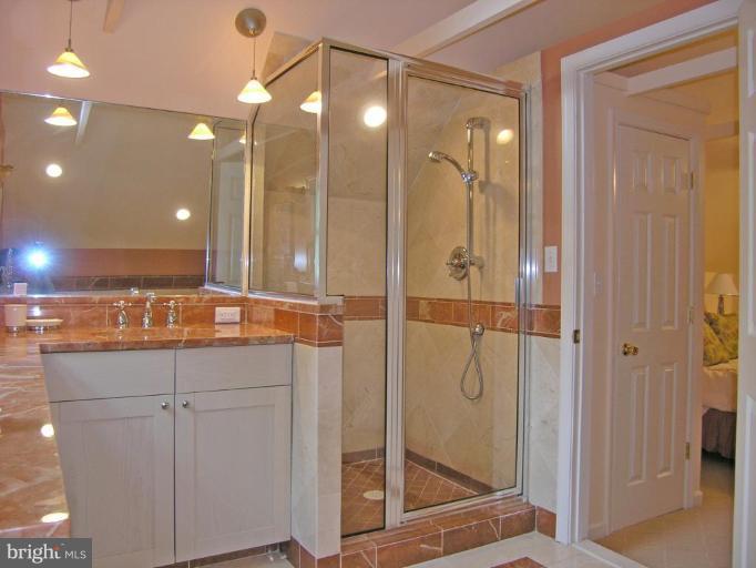 8605 Mayfair Place Silver Spring, MD 20910 - Photo 18 of 23 a bathroom with a shower and a sink