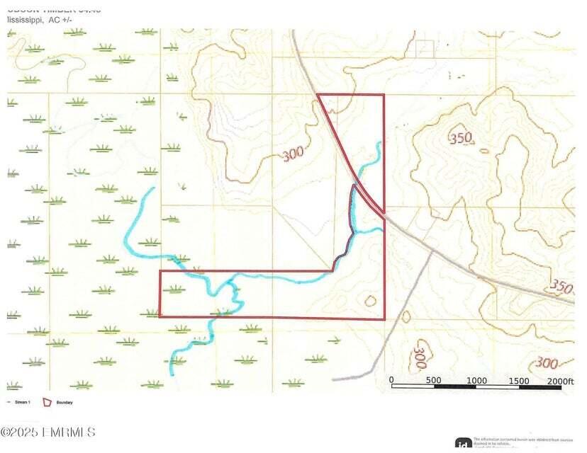 301 Co Road Heidelberg, MS 39439 - Photo 3 of 28 20251121213813994577000000-o