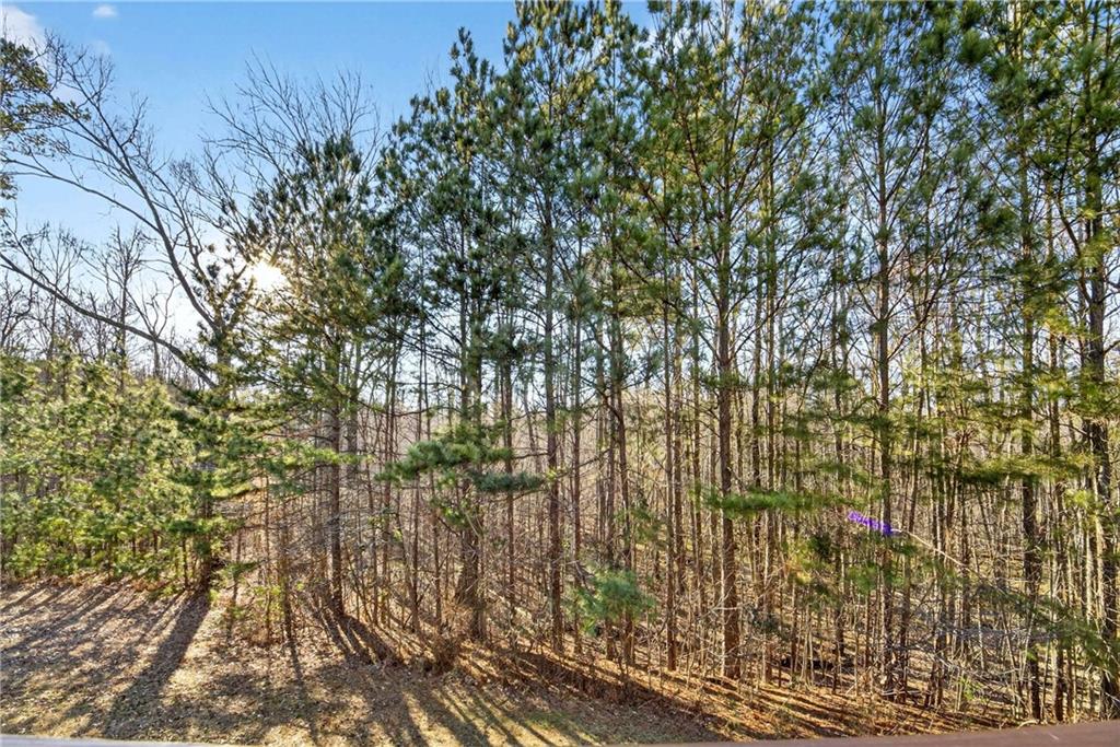 475 Ridgewood Drive Fayetteville, GA 30215 - Photo 54 of 67