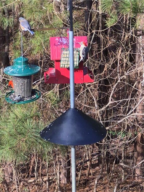 475 Ridgewood Drive Fayetteville, GA 30215 - Photo 58 of 67