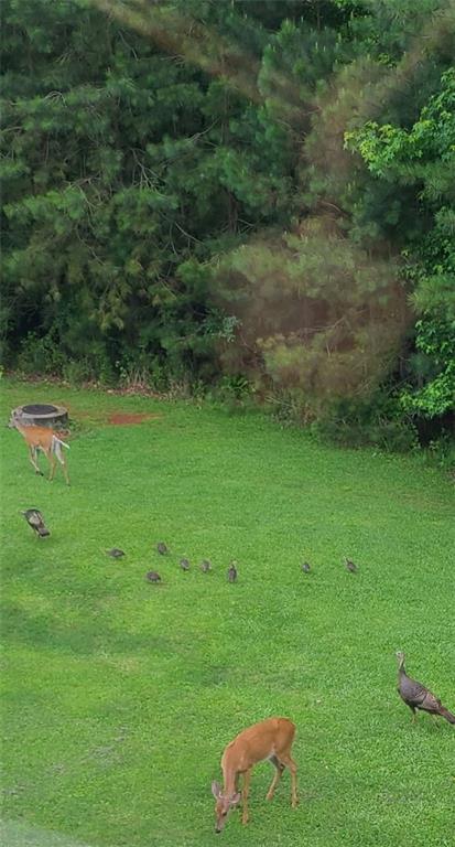 475 Ridgewood Drive Fayetteville, GA 30215 - Photo 59 of 67