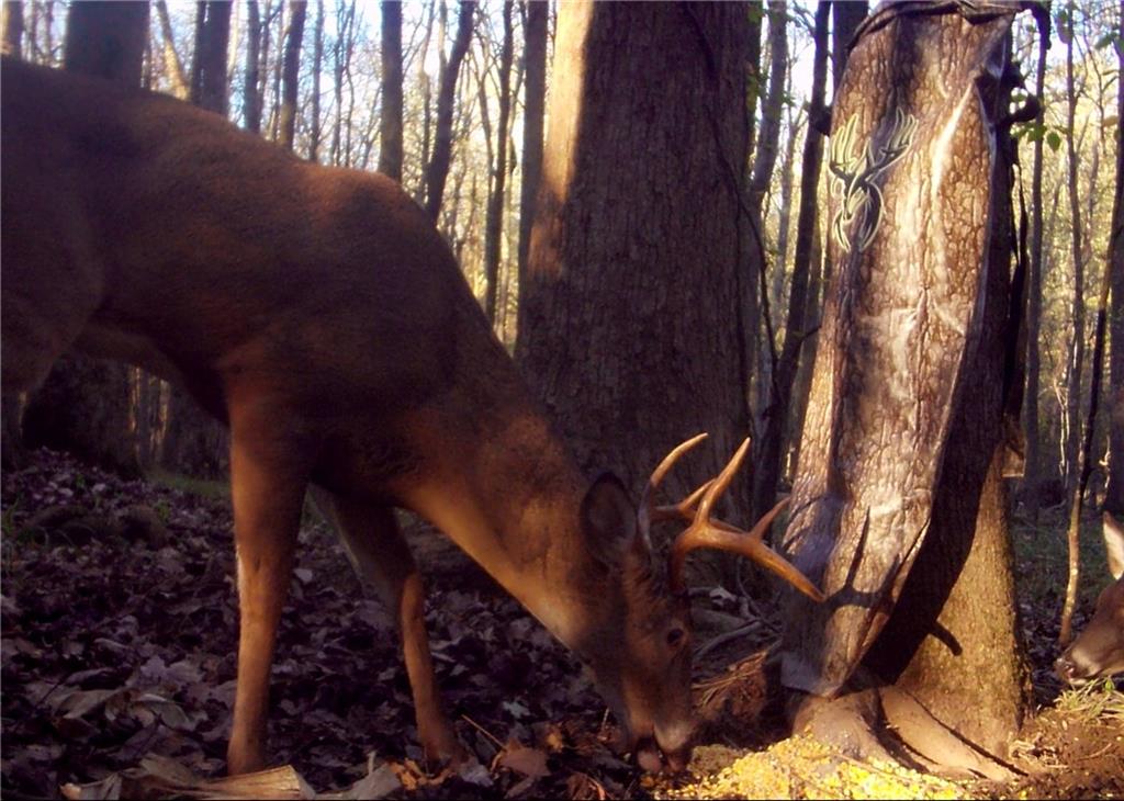 475 Ridgewood Drive Fayetteville, GA 30215 - Photo 60 of 67