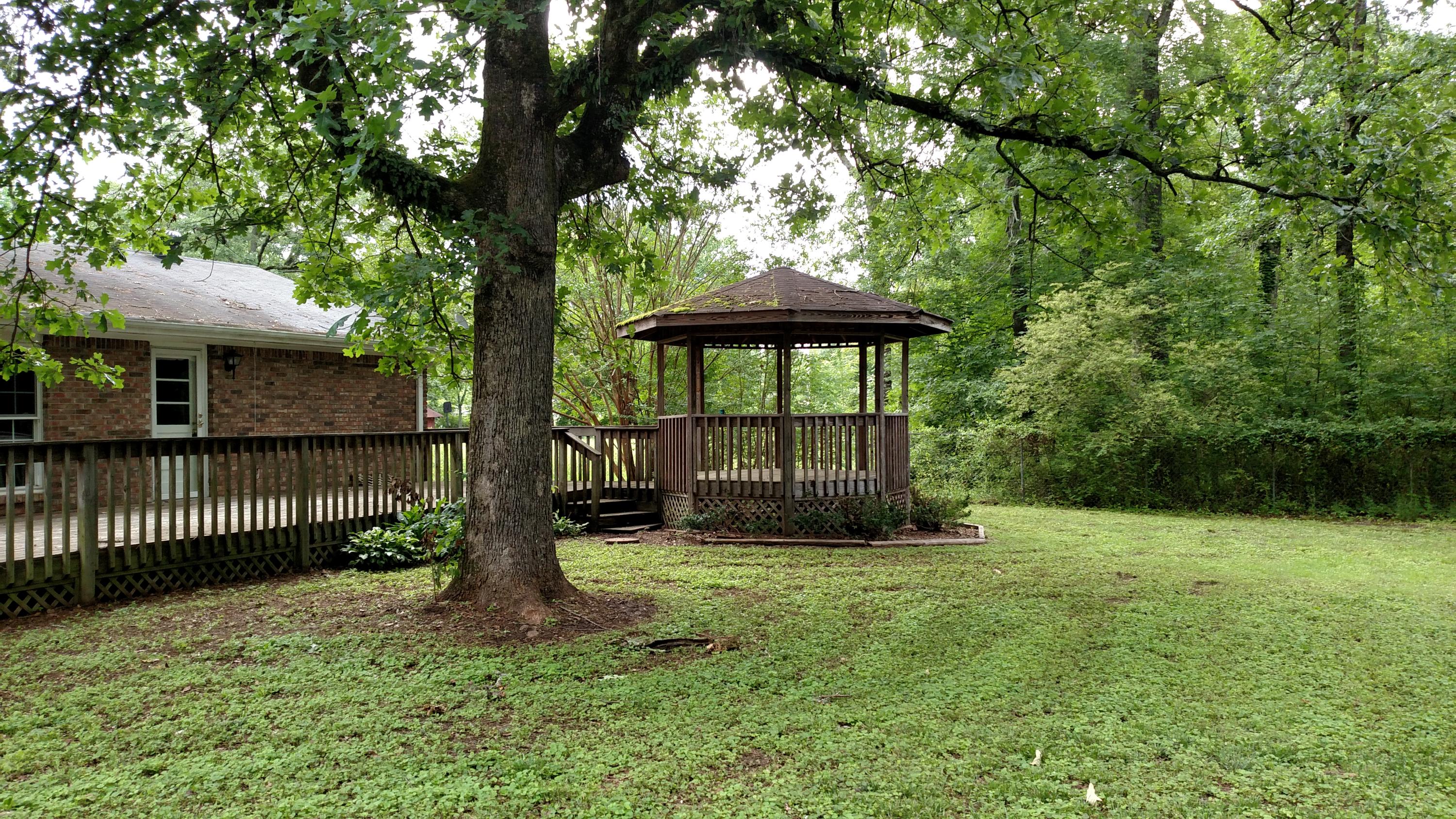 924 Horne Road Hixson, TN 37343 - Photo 18 of 19 REAR YARD2