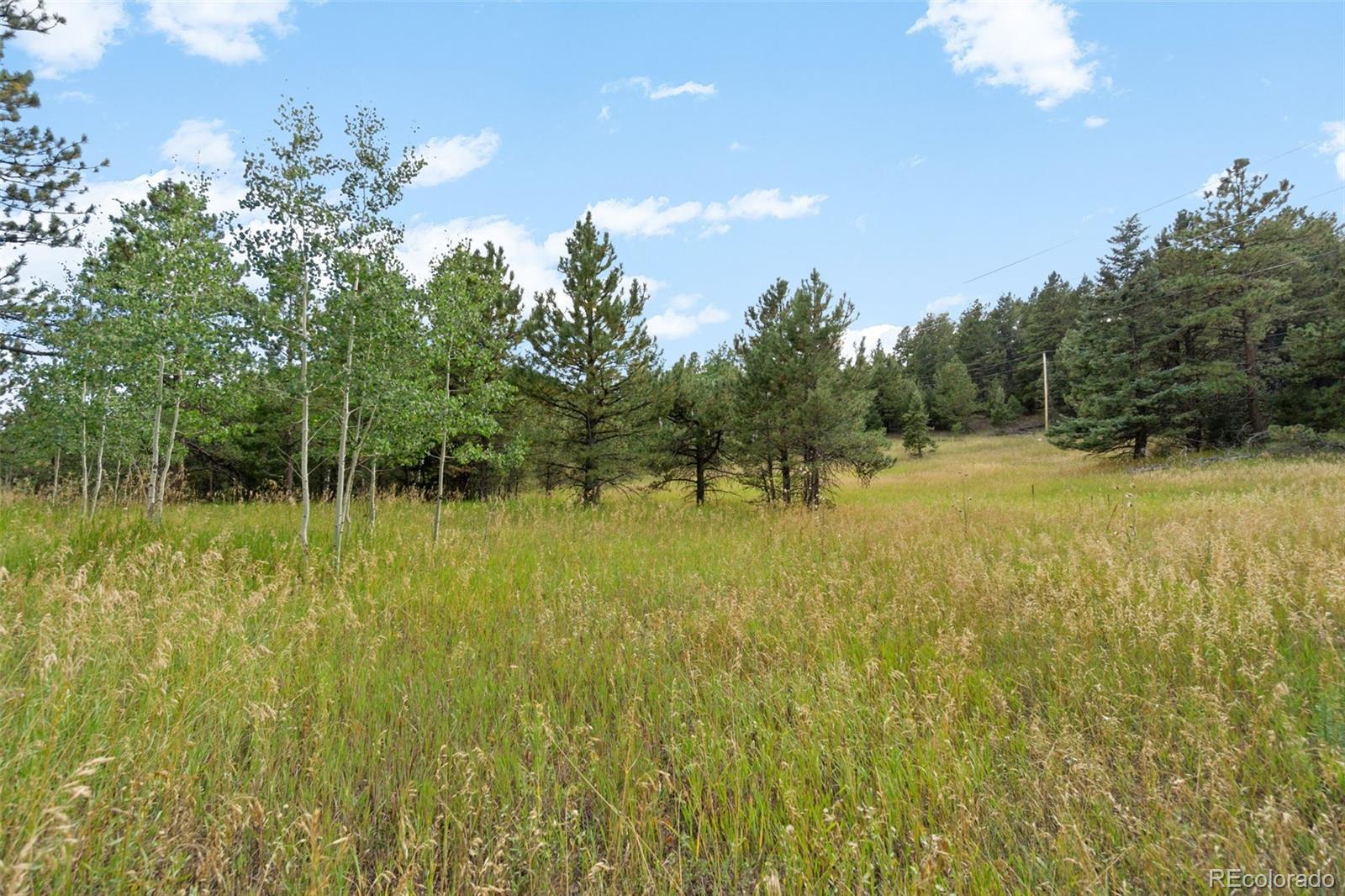 12511 South Ridge Road Conifer, CO 80433 - Photo 6 of 29