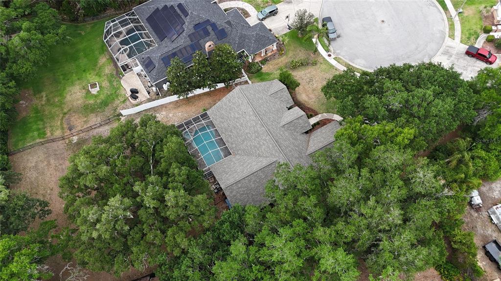 3042 Colonial Ridge Drive Brandon, FL 33511 - Photo 88 of 89