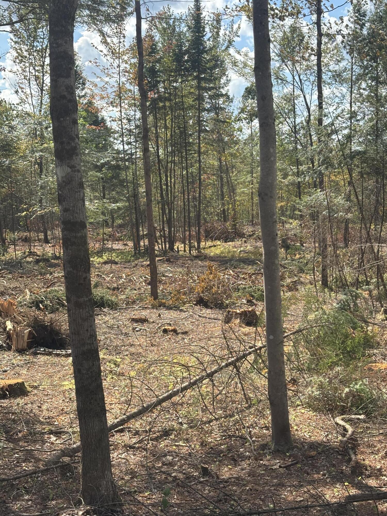 M10-18-7 Brown Road Mercer, ME 04957 - Photo 3 of 17 IMG_4917